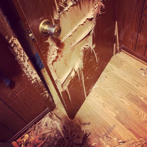 destroyed wood door caused by dog with separation anxiety