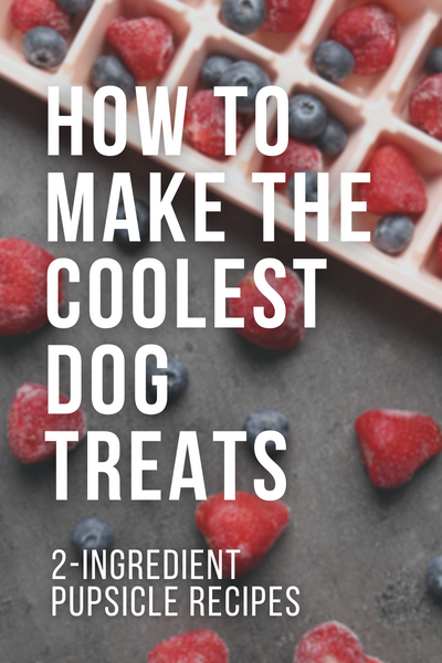how to make the coolest dog treats