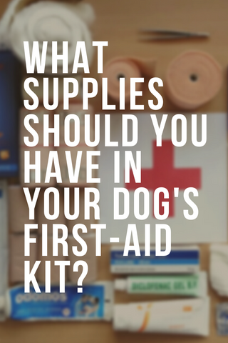 what supplies should you have in your dog's first aid kit