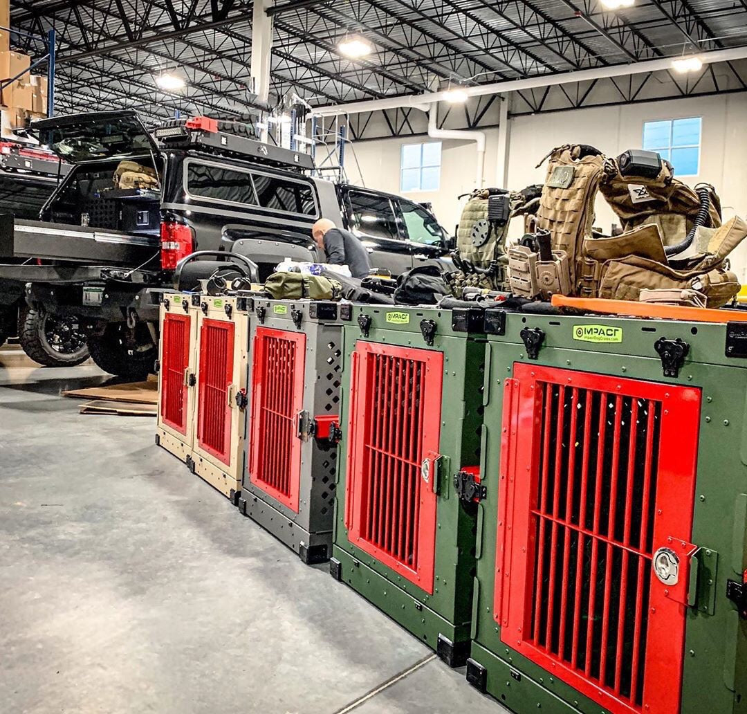 multicolored dog crates