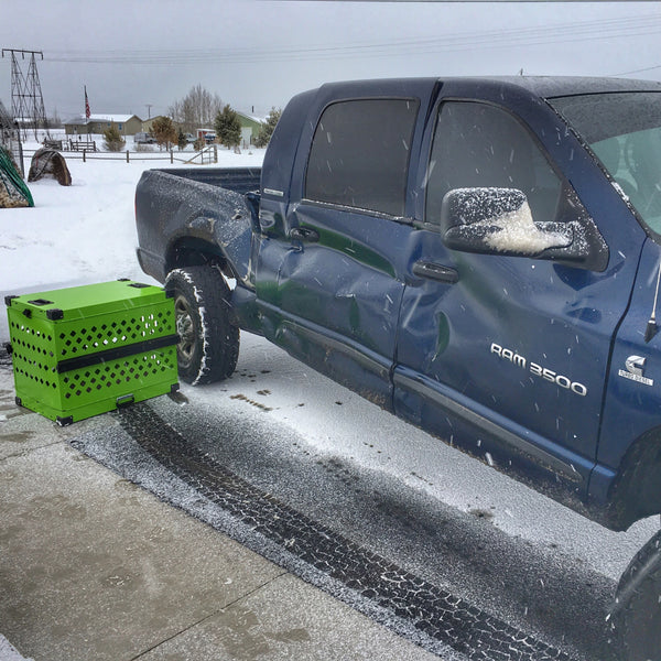 lime green collapsible impact dog crate in car crash