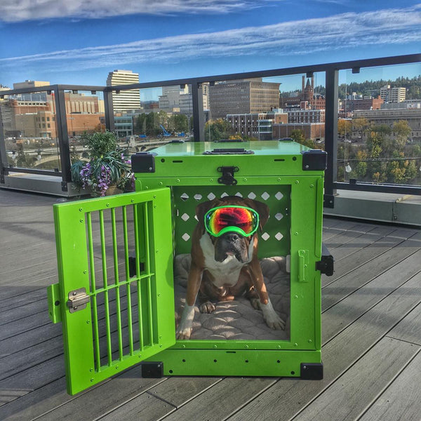 boxer dog in lime green collapsible impact dog crate with berber pad