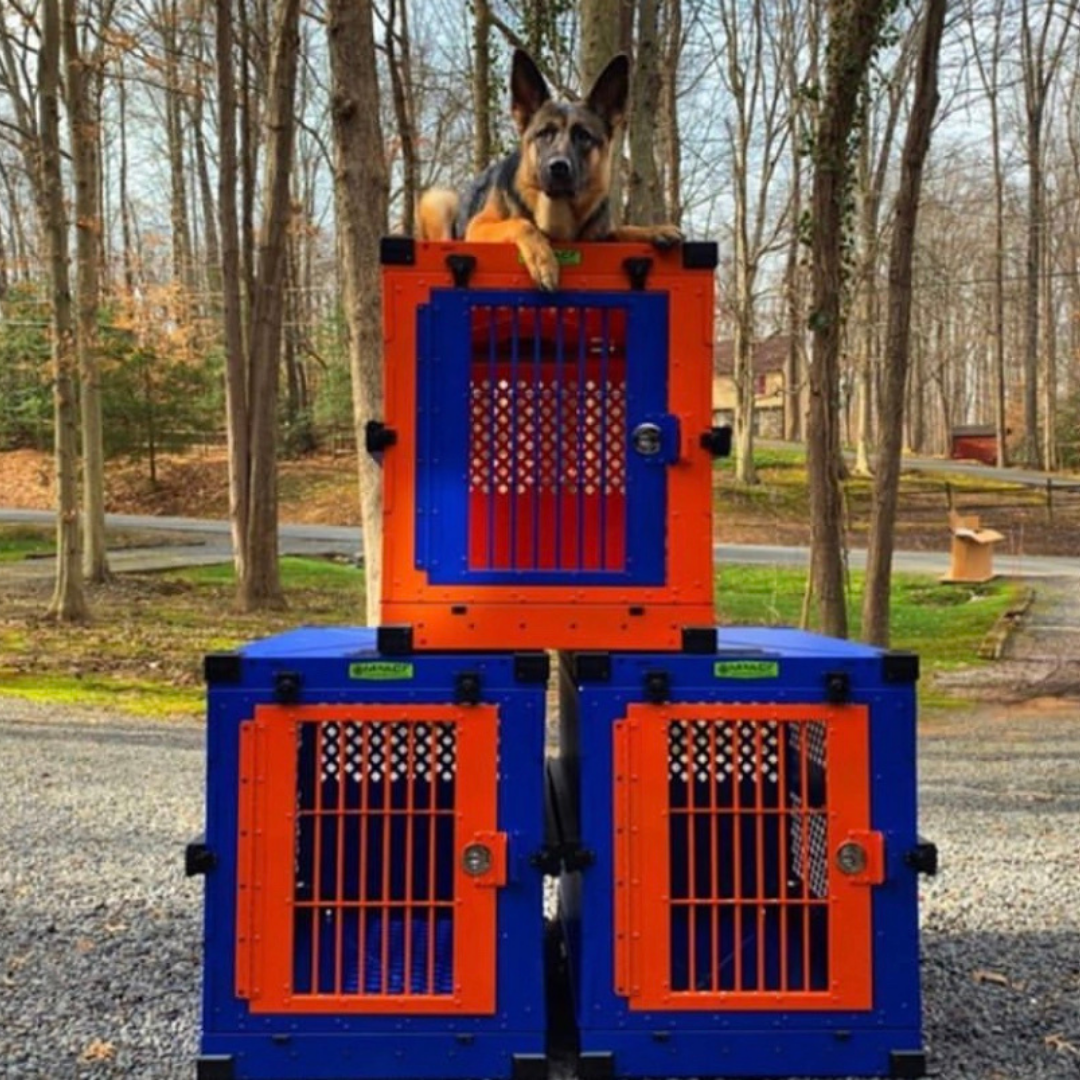 orange and blue crates