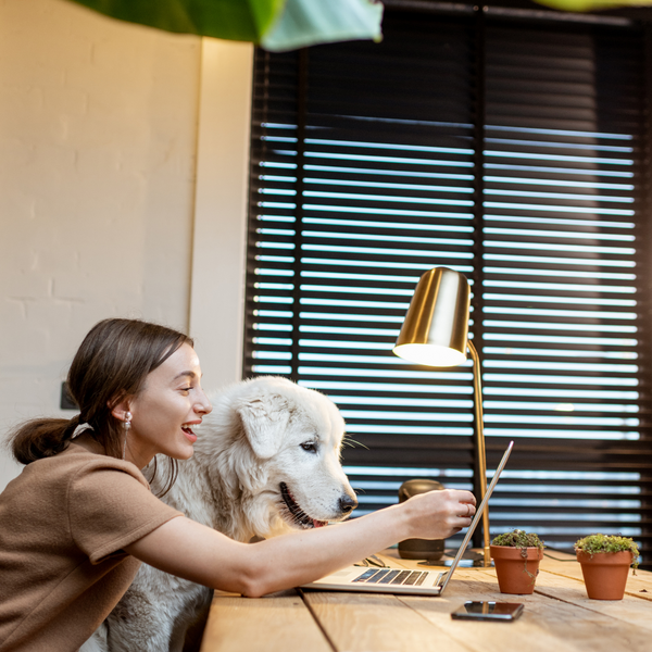 national bring your dog to work day