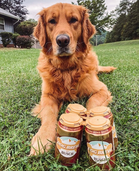 busch dog beer cans with golden retriever