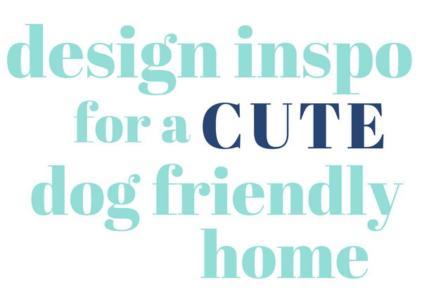 design inspo for a cute dog friendly home