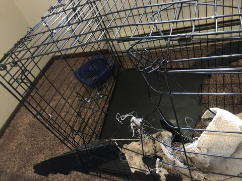 dog chewed and bent wires on wire kennel then ripped the plastic removable tray dangerous 