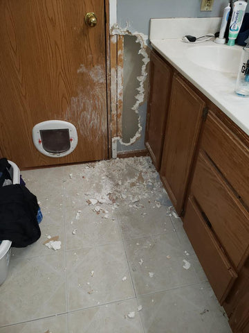 dog chewed through drywall in bathroom