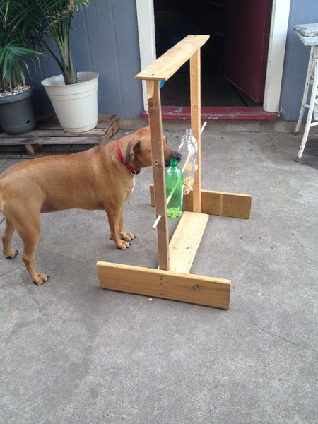 DIY Brain Games for Dogs! Homemade Food Puzzle Toys 