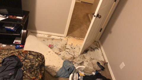 dog tears apart carpet and floor in bedroom
