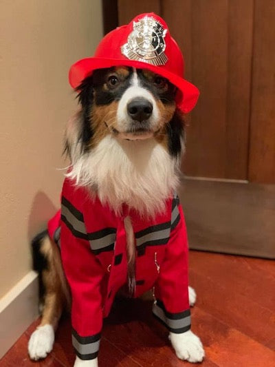 firefighter dog costume