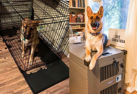 german shepherd chewed plastic tray in wire dog crate and now has heavy duty high anxiety crate