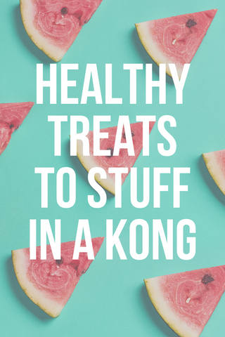 39 Healthy Treats You Can Stuff in a Kong - Puppy Leaks