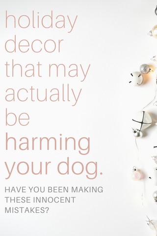 holiday decor that may be harming your dog