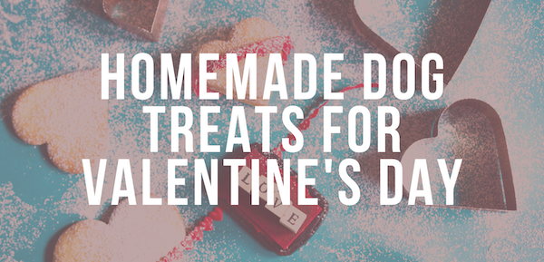 homemade dog treats for valentines day