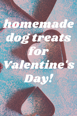 homemade dog treats for valentines day pinterest