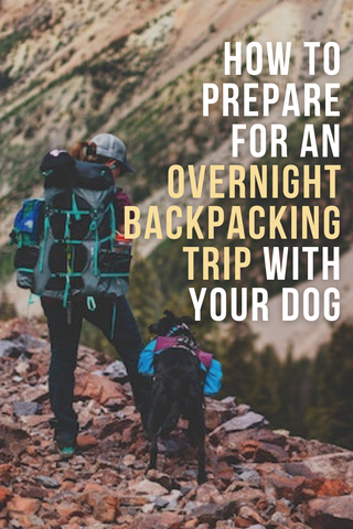 how to prepare for an overnight backpacking trip with your dog