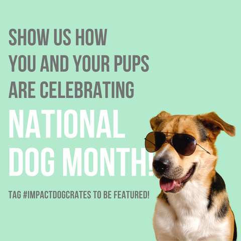 show us how you and your pups are celebrating national dog month! tag # impactdogcrates to be featured