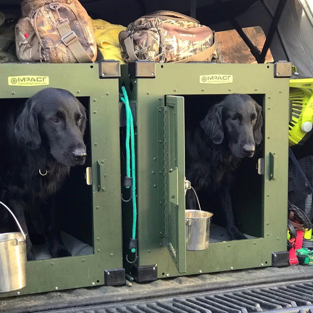 olive green dog crates 