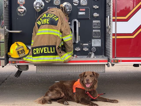 fire house pup