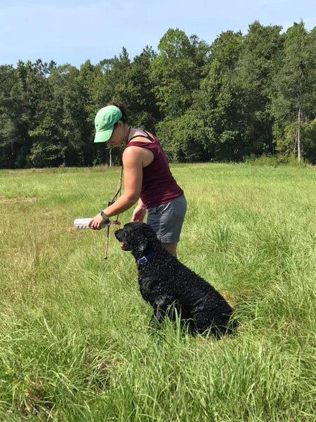 retriever playing fetch with girl in field