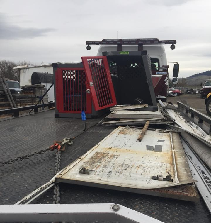 impact dog crates save dogs lives in rollover crash