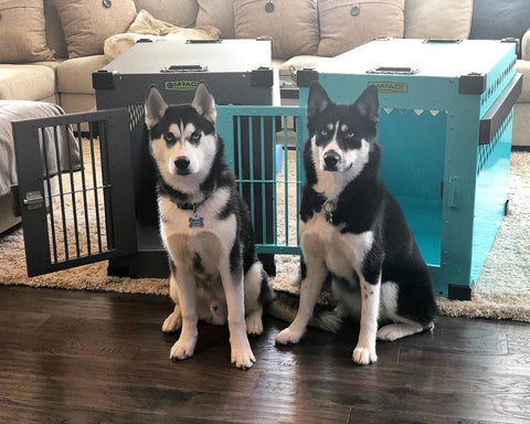 dog crates for siberian huskies