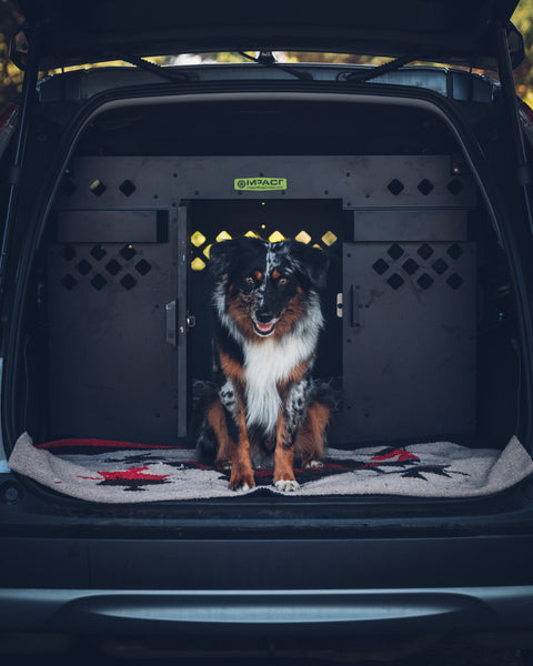 side door stationary impact dog crates