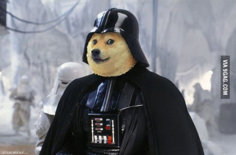star wars day dog meme