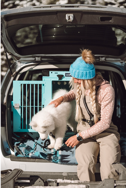 girl with samoyed puppy in back of subaru car with teal impact crate