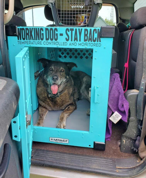 temperature controlled vehicle setup for dog crate