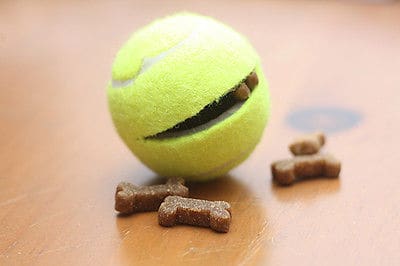 tennis ball treat dispenser