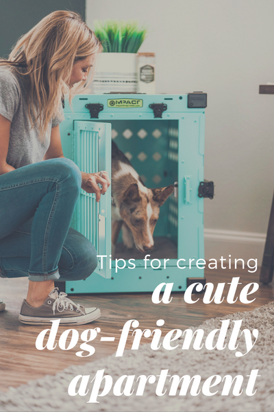 tips for creating a cute dog friendly apartment pinterest 