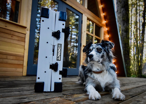 folded white collapsible crate with herding dog