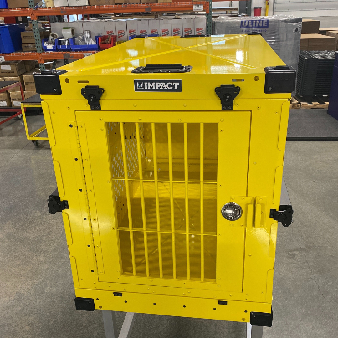yellow dog crate