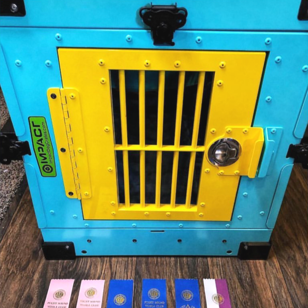 teal and yellow crate