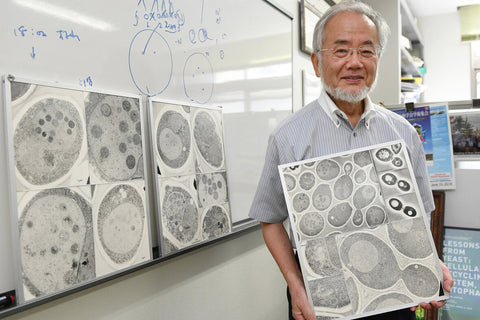 biólogo celular japonés Yoshinori Ohsumi ganador del premio Nobel sosteniendo láminas de células