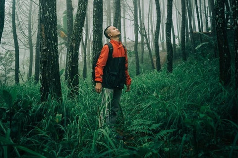 hombre joven rodeado de árboles en un bosque mirando hacia arriba