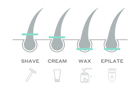 Diagram of hair follicle showing the level where hair is removed using different hair removal methods. Shaving and creams remove hair to the skin's surface and waxing and epilating remove the hair from the root below the skin's surface.