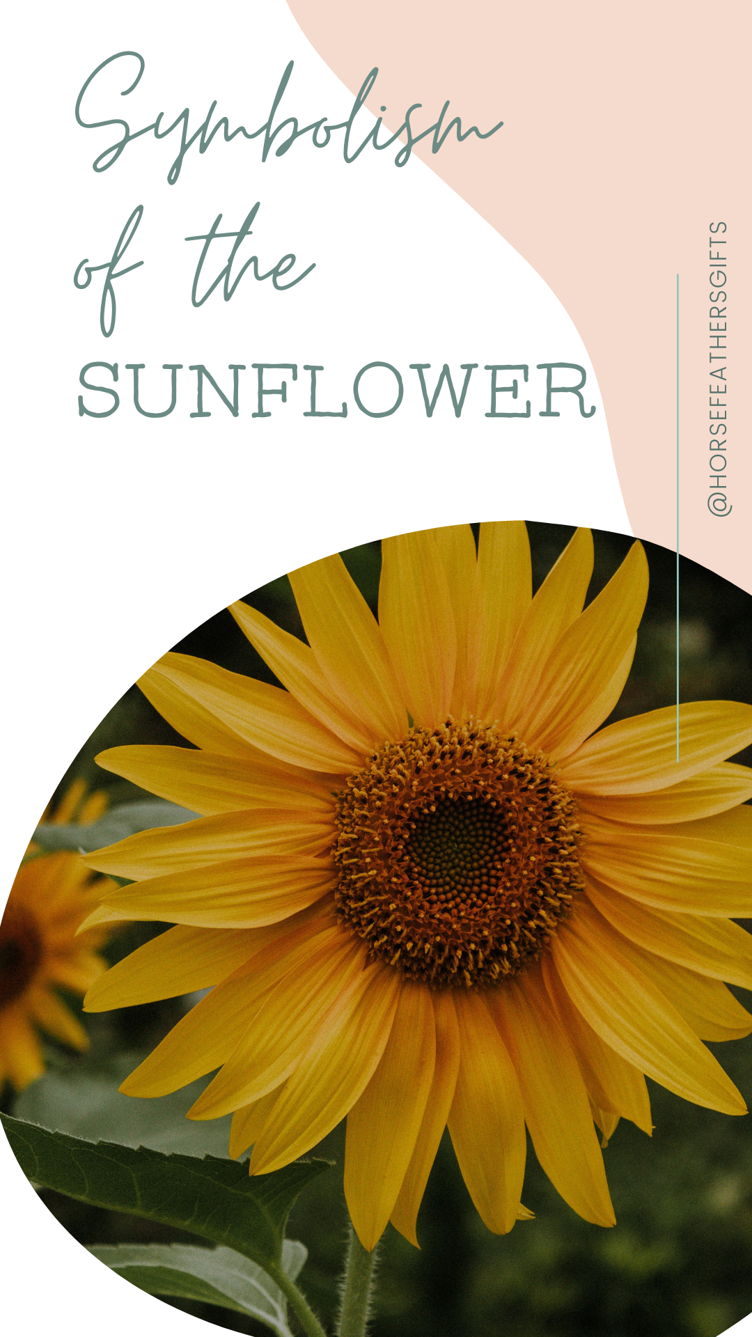 Sun Flower Symbol