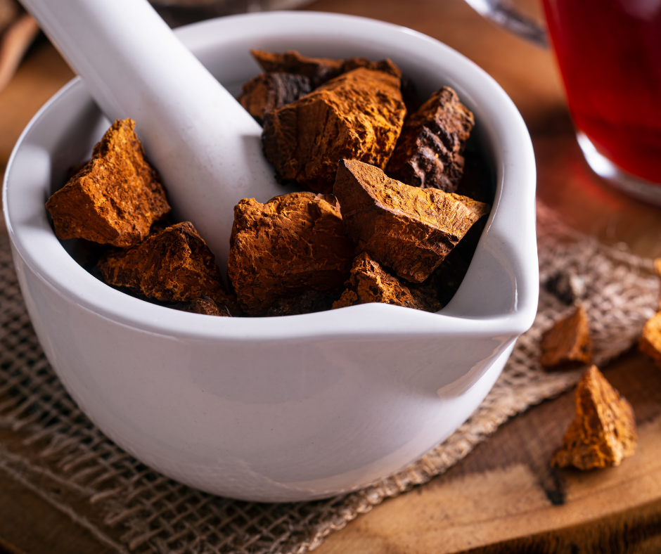 Chaga (Inonotus obliquus) Mushroom in Mortar Pestle