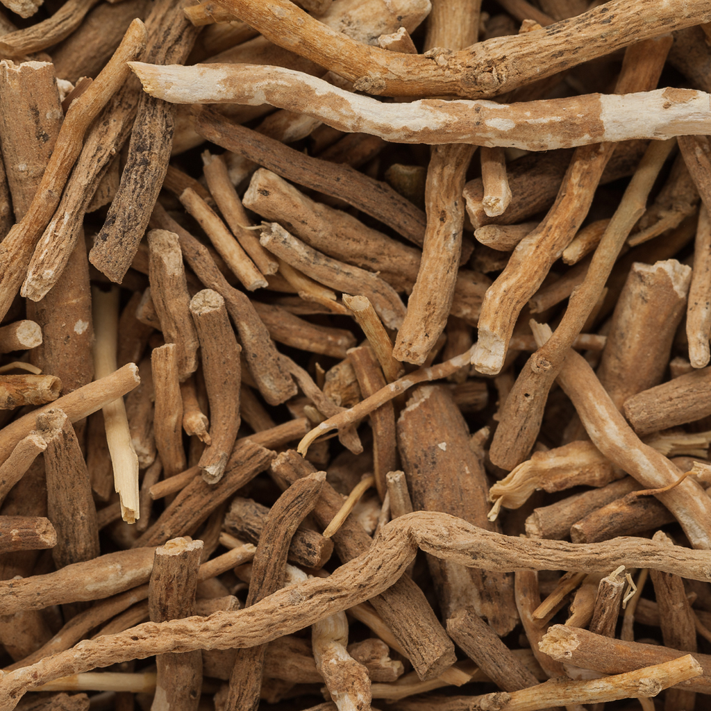 Ashwagandha withania somnifera root for anxiousness fertility