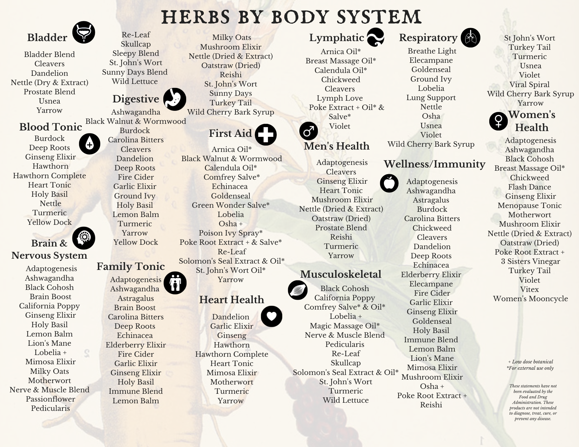 Herbs by Body System