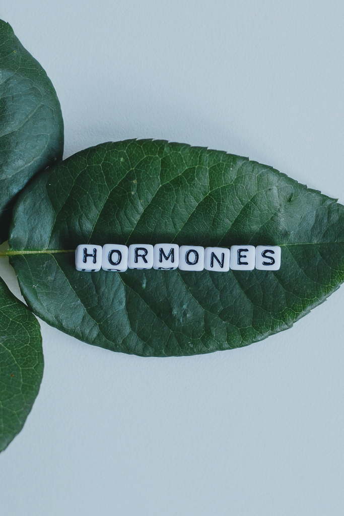 Herbs for hormonal support