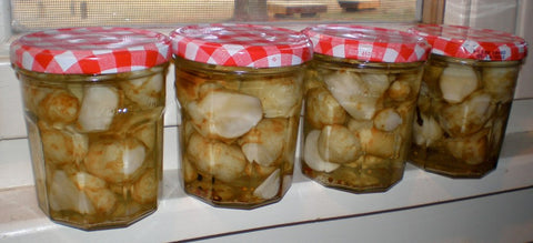 Jerusalem Artichoke Sunchoke Pickles