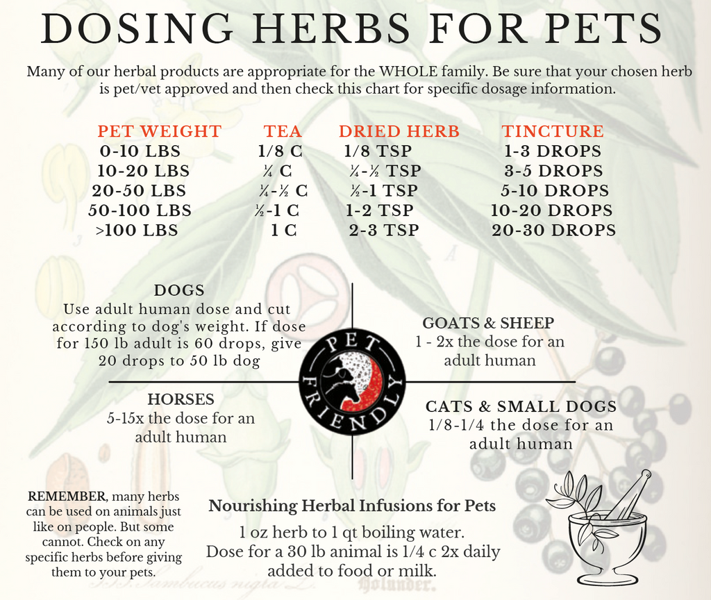 Dosing Herbs for Pets
