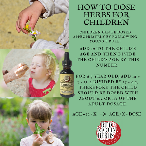 How to Dose Herbs for Children Young's Rule