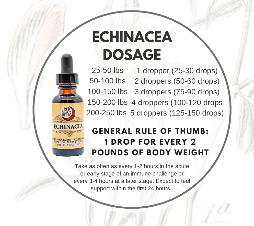 Echinacea Herbal Tincture Dosage Chart