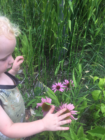 Echinacea Herb and Young Child