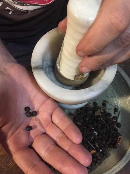 Grinding Spicebush Berries Lindera benzoin